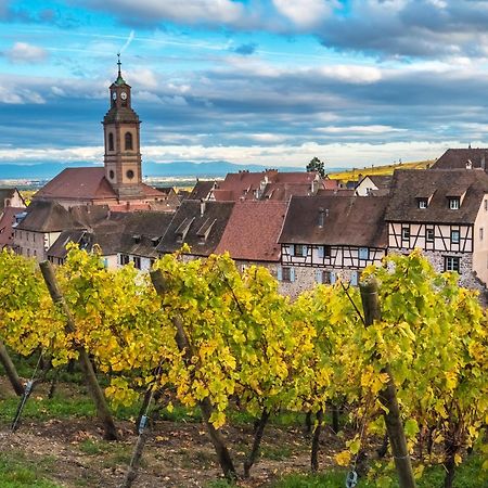 Gite "Le Piemont Des Vosges " Stotzheim Buitenkant foto