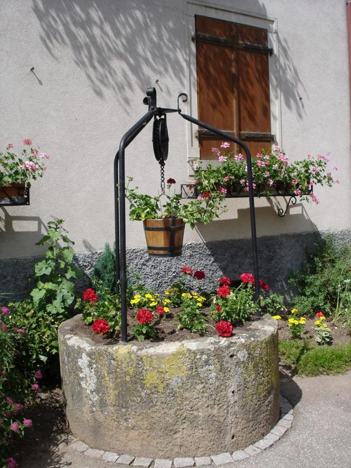 Gite "Le Piemont Des Vosges " Stotzheim Buitenkant foto