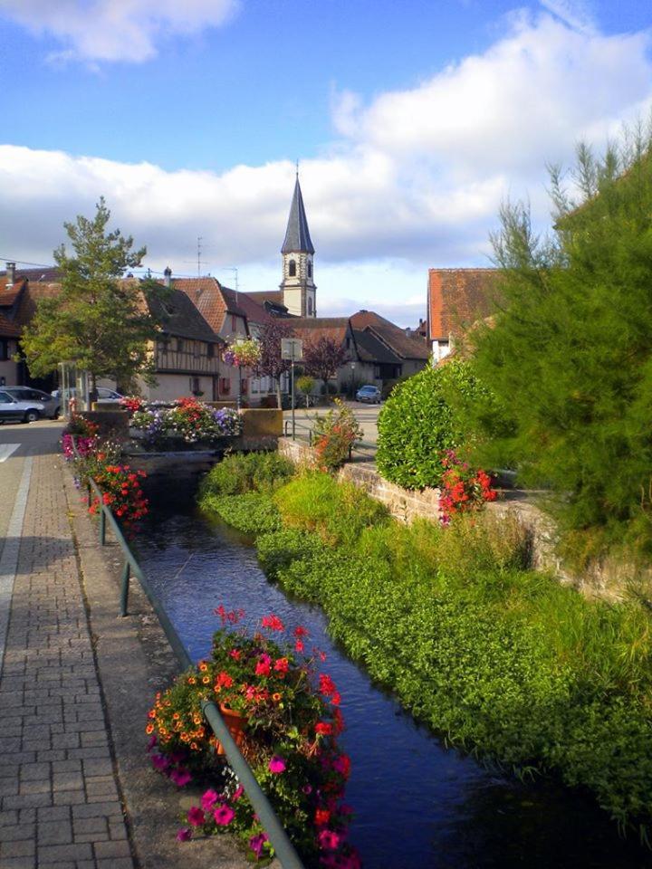 Gite "Le Piemont Des Vosges " Stotzheim Buitenkant foto