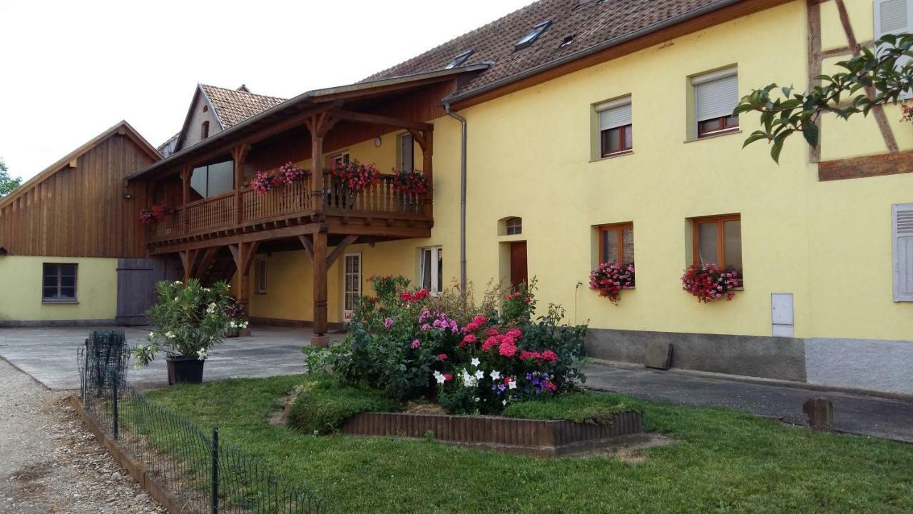 Gite "Le Piemont Des Vosges " Stotzheim Buitenkant foto