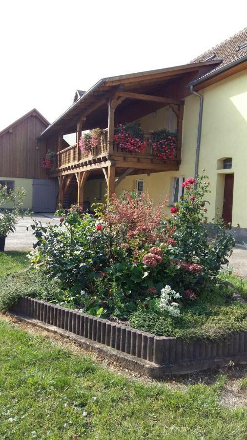 Gite "Le Piemont Des Vosges " Stotzheim Buitenkant foto