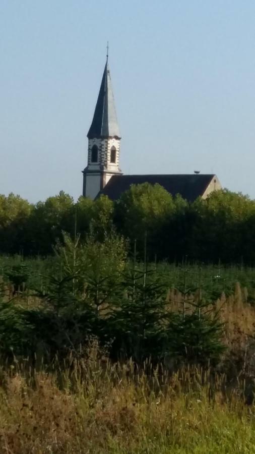 Gite "Le Piemont Des Vosges " Stotzheim Buitenkant foto